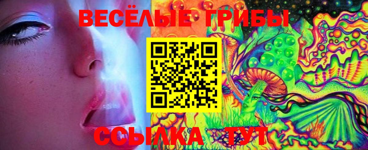 дарнет шоп  Галлюциногенные грибы прущие грибы  Снежинск  Вход с VPN  Псилоцибиновые грибы прущие грибы 