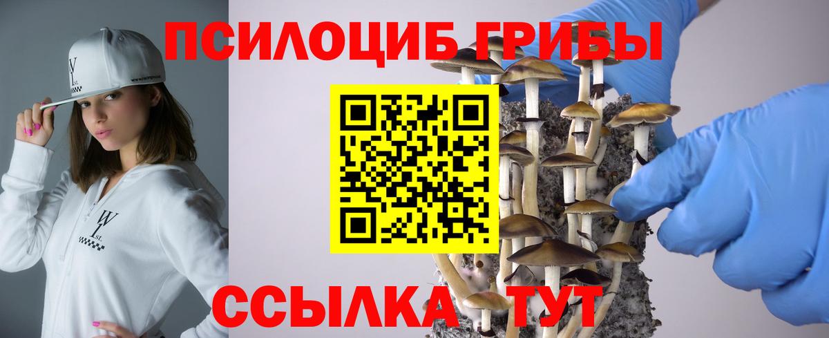 Псилоцибиновые грибы мухоморы Снежинск